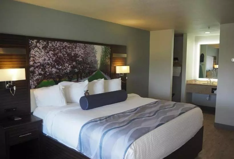 Отель Baymont By Wyndham Yuba City