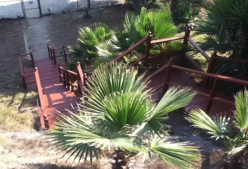 هتل Beach Plaza Complejo