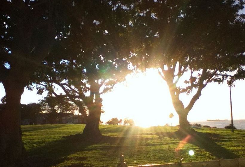 ホテル Beach Plaza Complejo