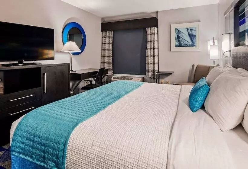 호텔 Best Western Plus Spartanburg