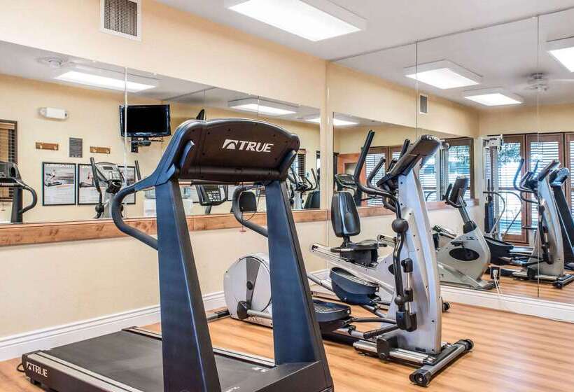 Отель Comfort Inn & Suites Sheridan