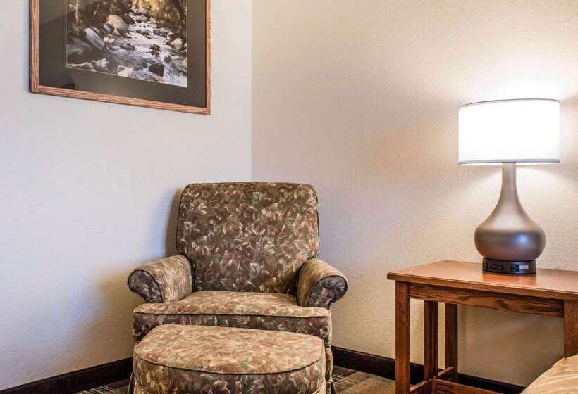 Отель Comfort Inn & Suites Sheridan