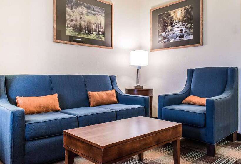 Отель Comfort Inn & Suites Sheridan