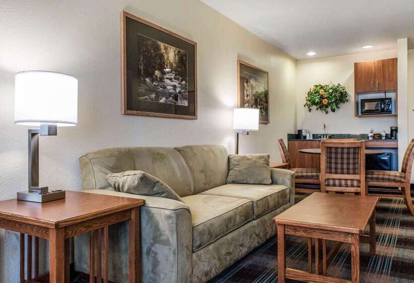 Отель Comfort Inn & Suites Sheridan