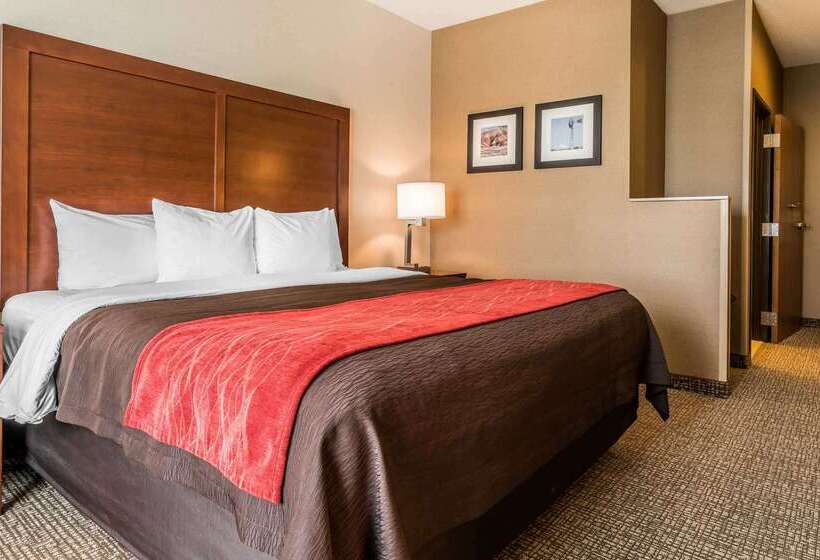 ホテル Comfort Inn & Suites