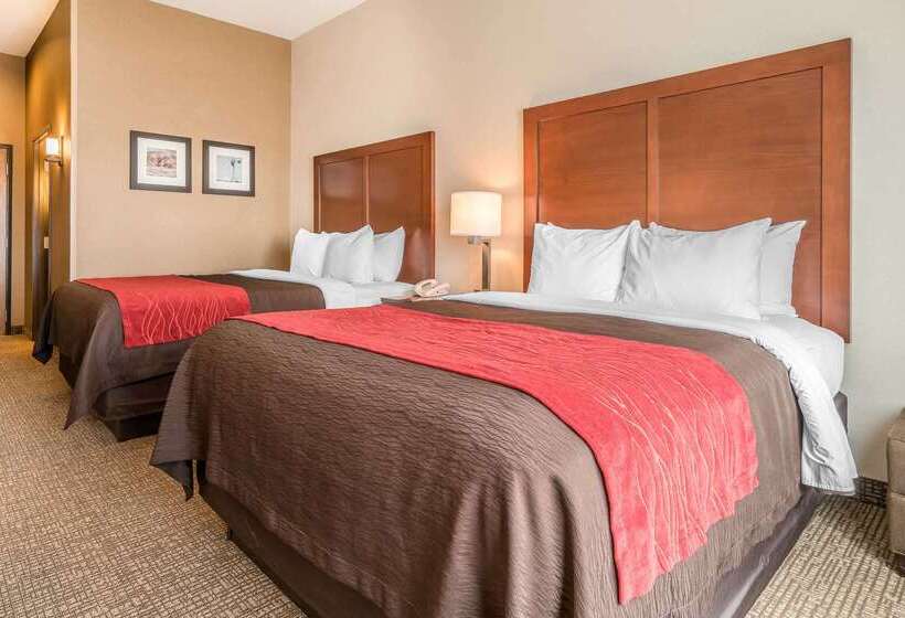 ホテル Comfort Inn & Suites