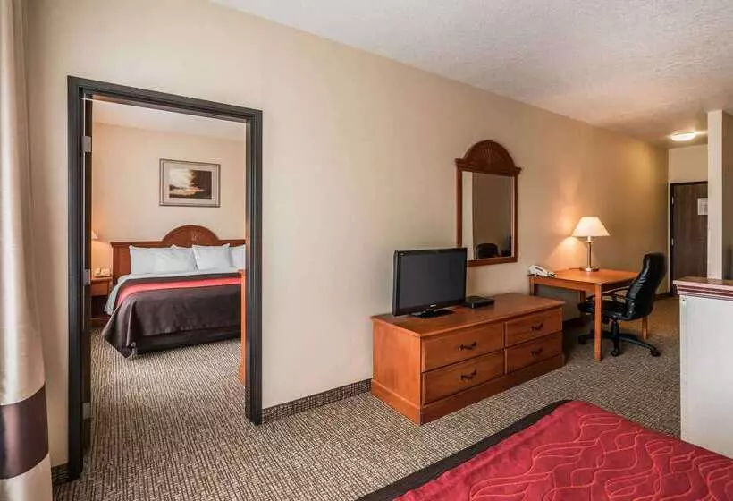 ホテル Comfort Inn & Suites