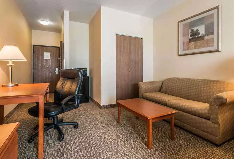 ホテル Comfort Inn & Suites