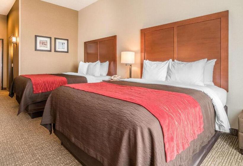 ホテル Comfort Inn & Suites