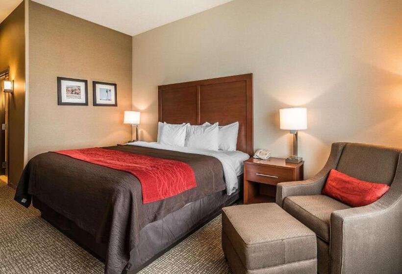 ホテル Comfort Inn & Suites