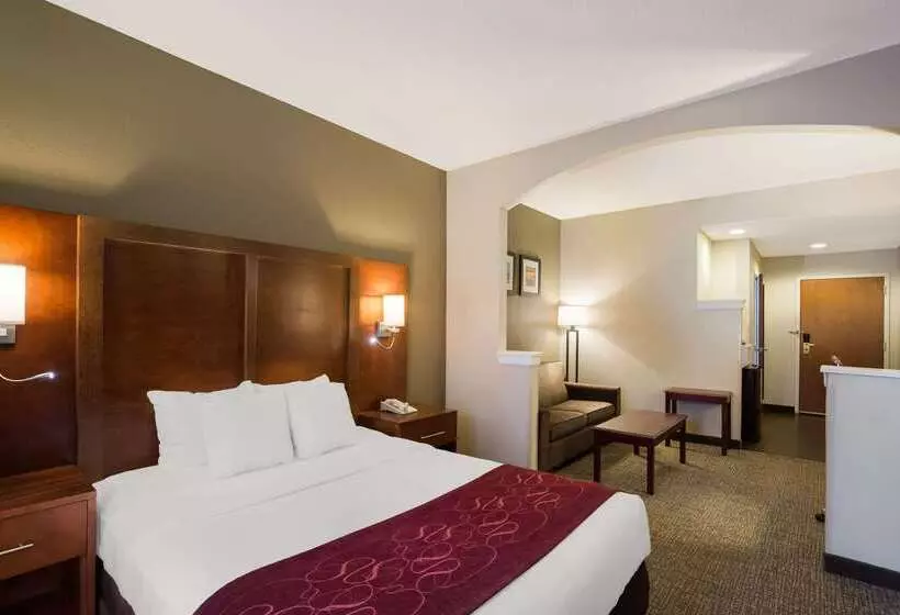 호텔 Comfort Suites Near University