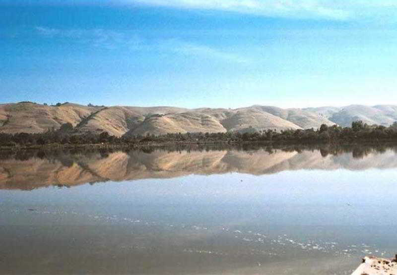 فندق Courtyard By Marriott Newark Silicon Valley