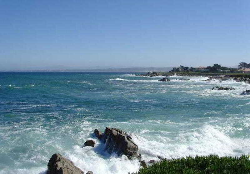 فندق Courtyard By Marriott Newark Silicon Valley