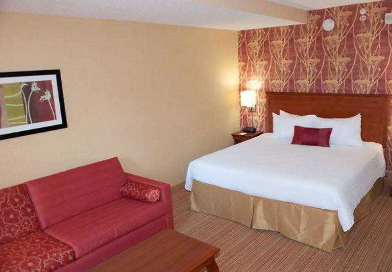 فندق Courtyard By Marriott Norfolk Downtown