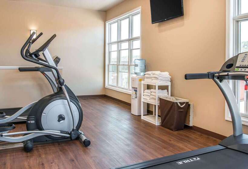 Отель Quality Inn & Suites