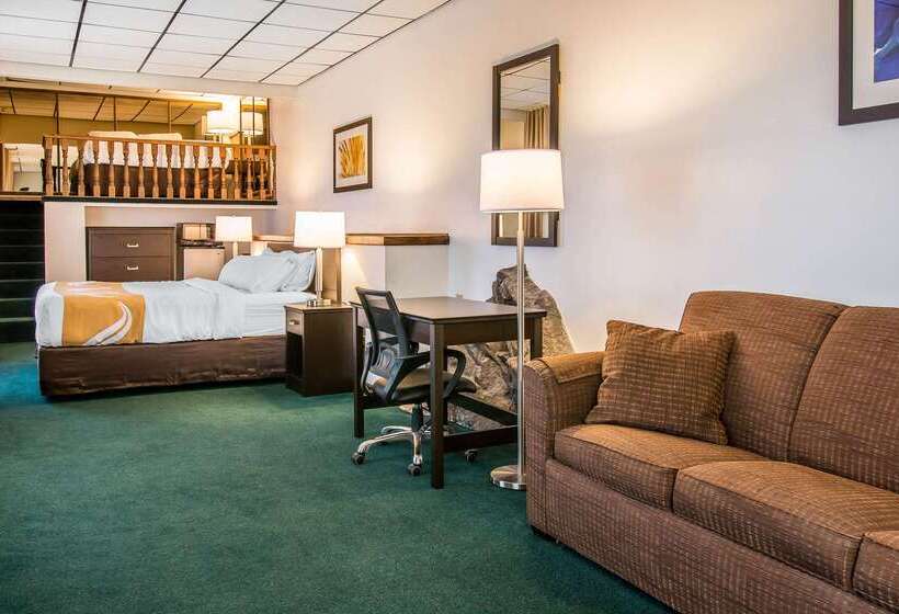Отель Quality Inn & Suites