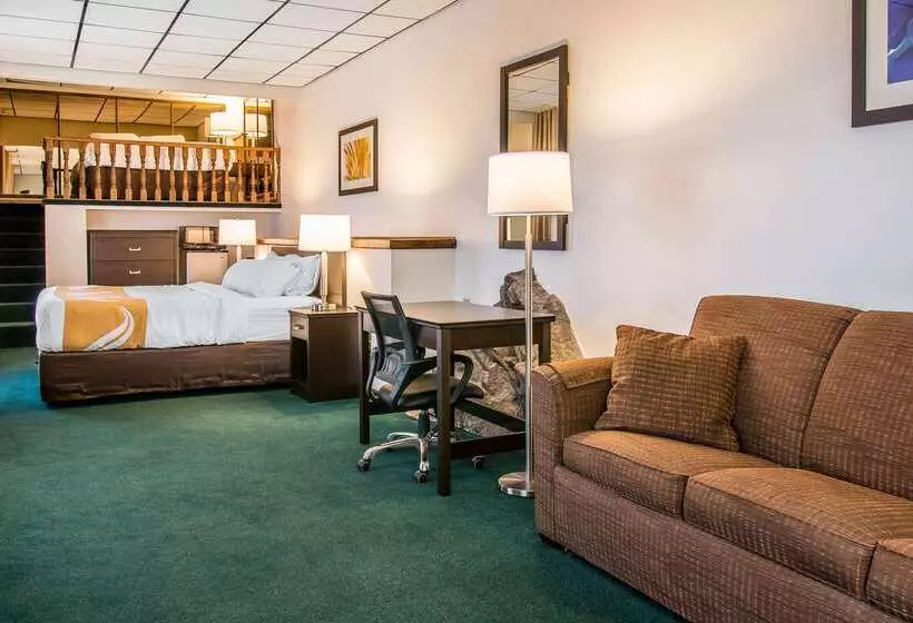 酒店 Quality Inn & Suites