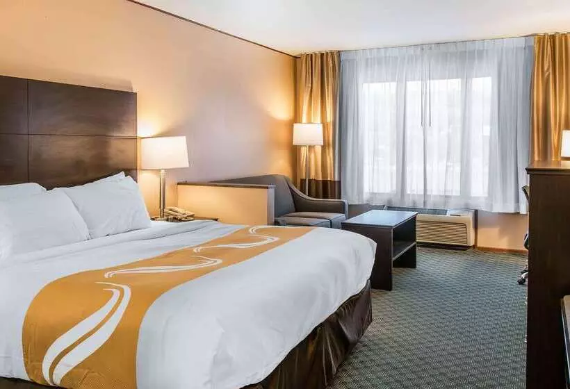 酒店 Quality Inn & Suites
