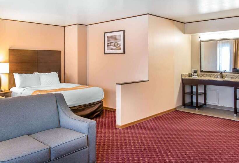Отель Quality Inn & Suites
