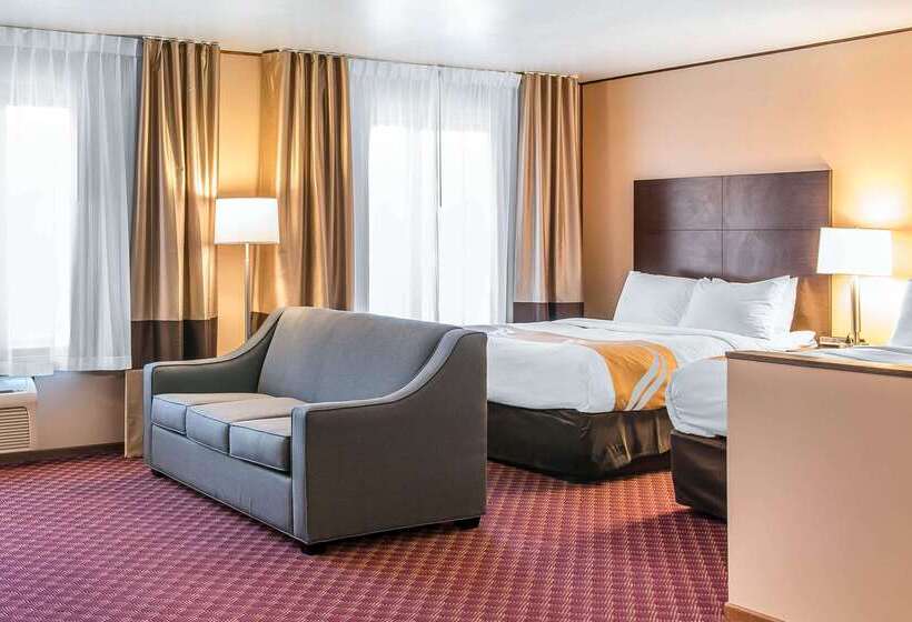 Отель Quality Inn & Suites