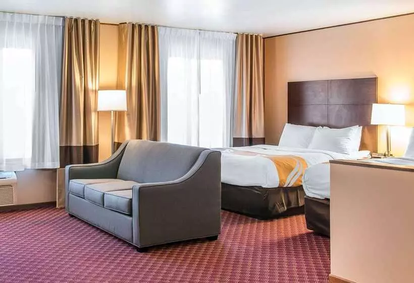 酒店 Quality Inn & Suites