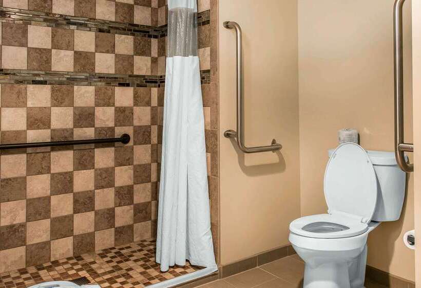 Отель Quality Inn & Suites