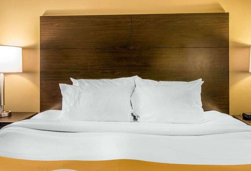 Отель Quality Inn & Suites