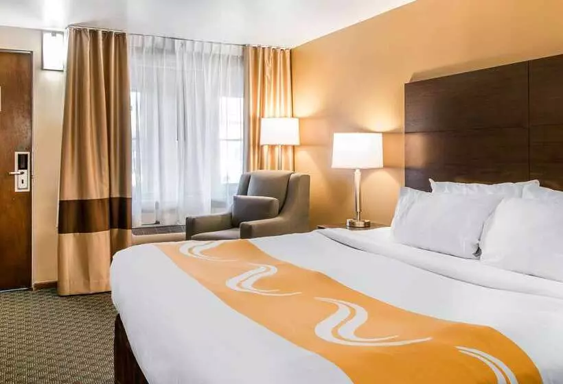 酒店 Quality Inn & Suites