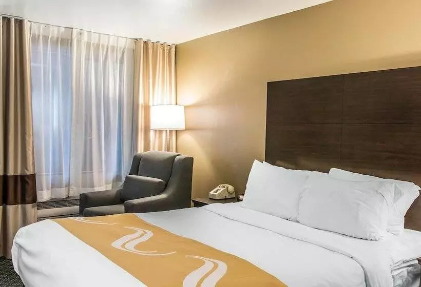 酒店 Quality Inn & Suites