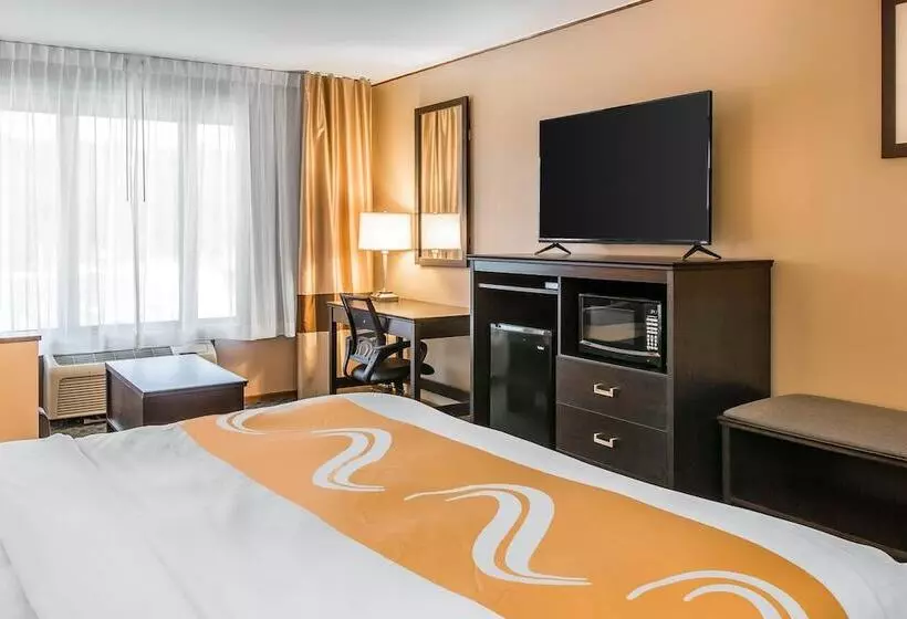 酒店 Quality Inn & Suites