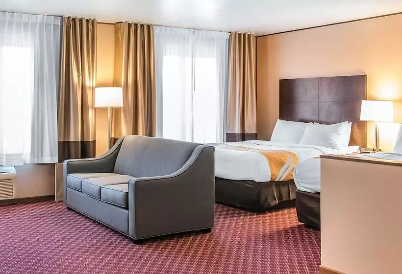 酒店 Quality Inn & Suites