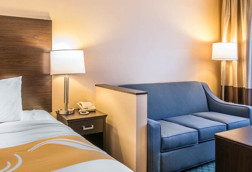 Отель Quality Inn & Suites