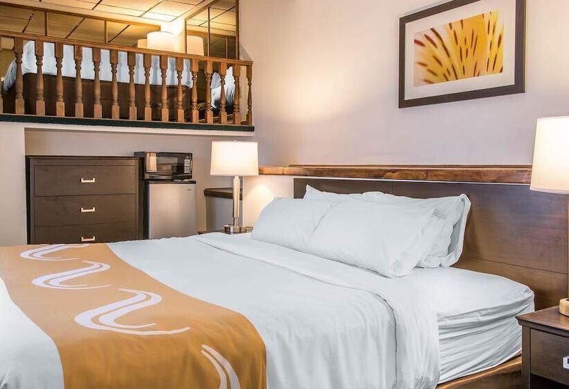 Отель Quality Inn & Suites