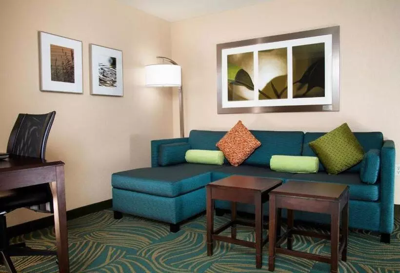 فندق Springhill Suites By Marriott Medford