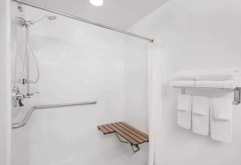 Microtel Inn & Suites By Wyndham Hamburg