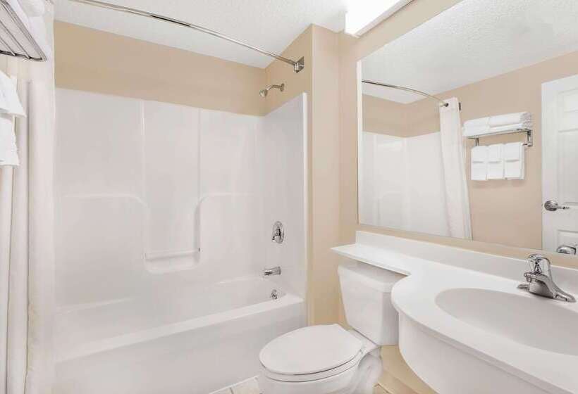 Microtel Inn & Suites By Wyndham Hamburg