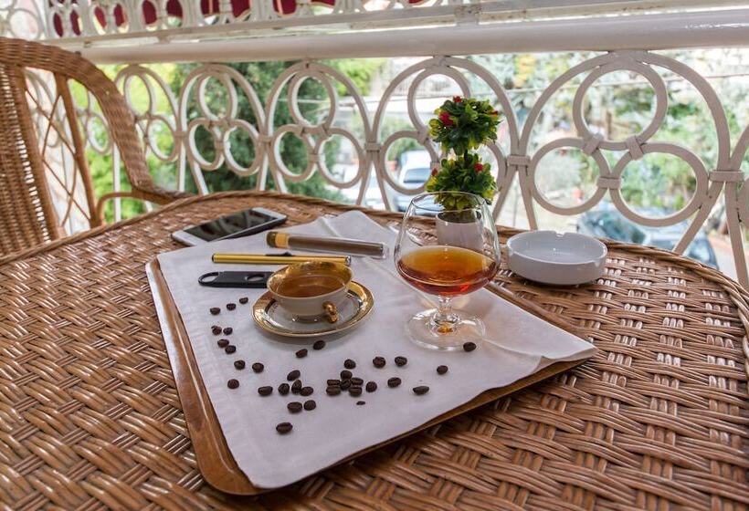 בית מלון כפרי Baron