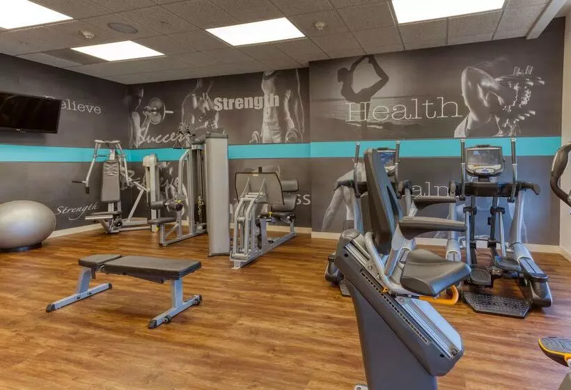 Drury Plaza Hotel St. Louis Chesterfield