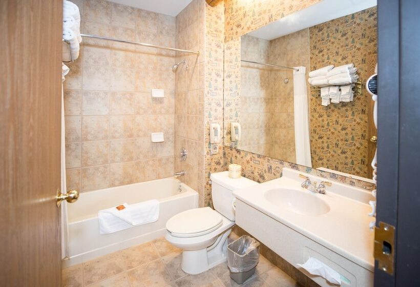 هتل Great Wolf Lodge Sandusky