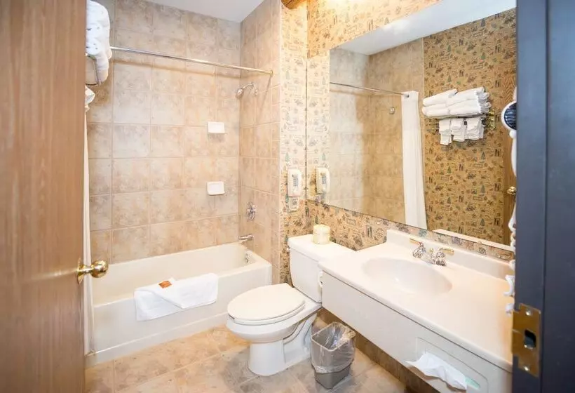 Szálloda Great Wolf Lodge Sandusky