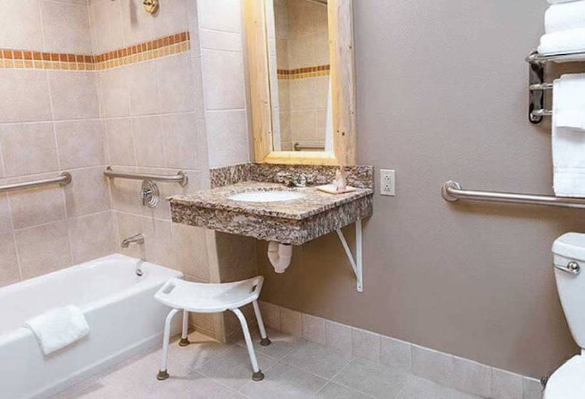 هتل Great Wolf Lodge Sandusky