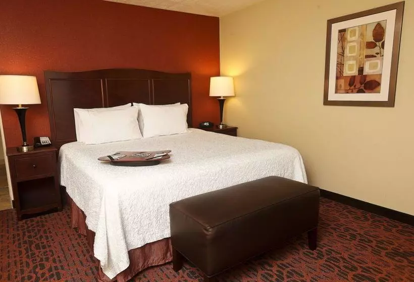 هتل Hampton Inn & Suites By Hilton Fargo Medical Center