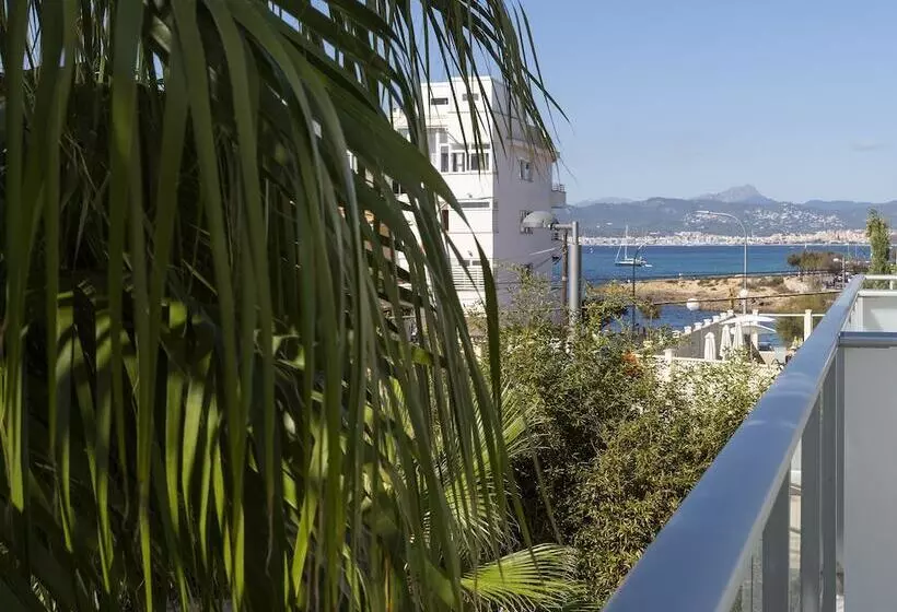 فندق Js Palma Stay Adults Only