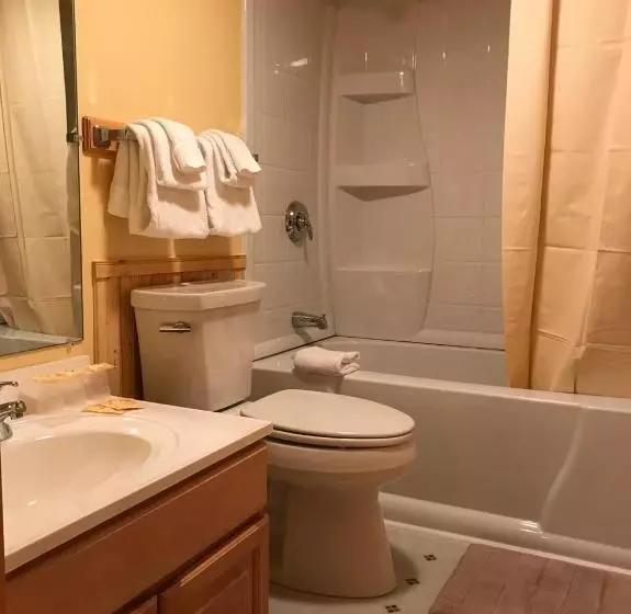 בית מלון כפרי Mountain Sports Inn