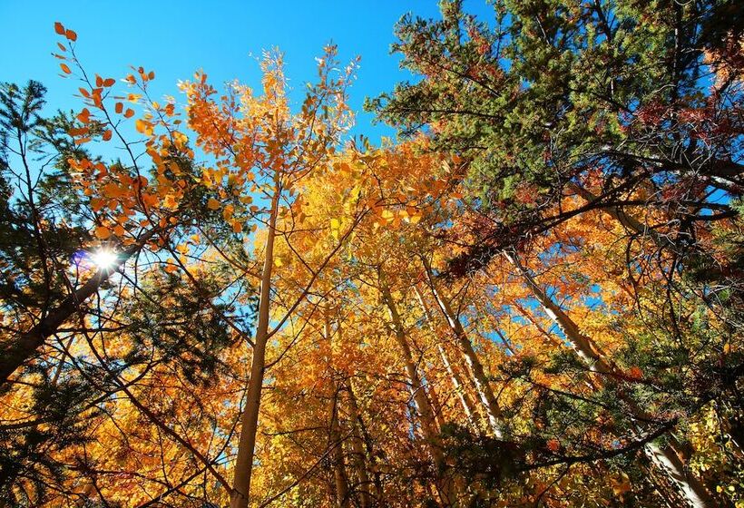 Mount Princeton Hot Springs Resort