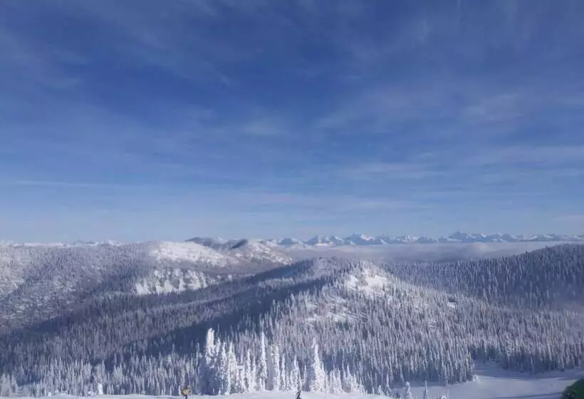 Мотель Chalet Inn