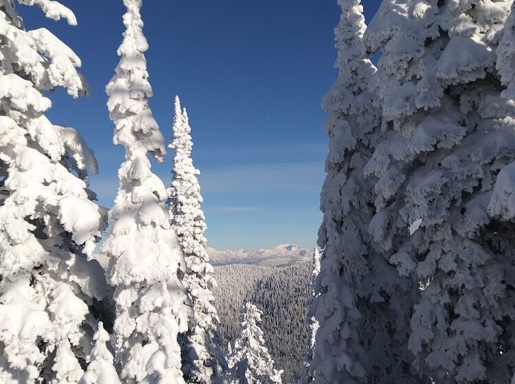 汽车旅馆  Chalet Inn