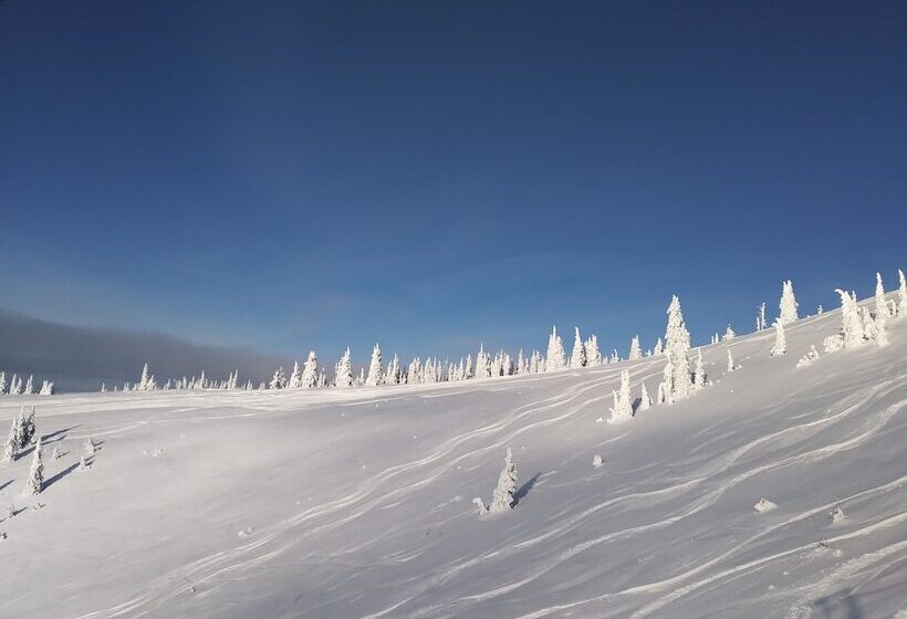 汽车旅馆  Chalet Inn