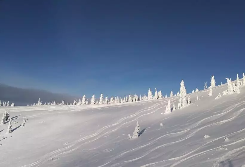 Мотель Chalet Inn