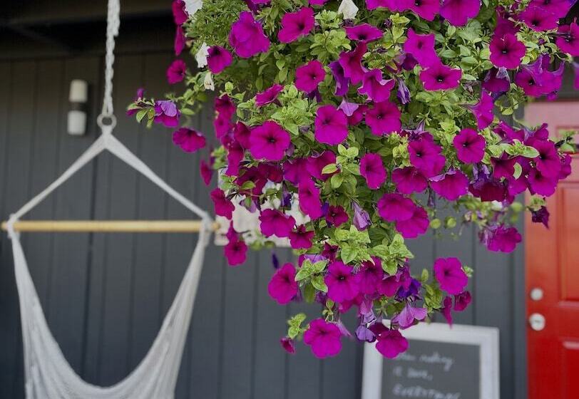 汽车旅馆  Chalet Inn